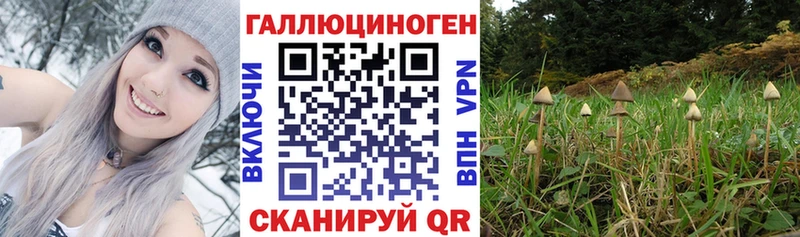 Купить закладки  Пролетарск  Галлюциногенные грибы GOLDEN TEACHER 